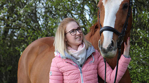 Mein Pferd - mein Ausgleich zum Alltag