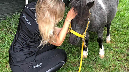 reitbekleidung, reitaccessoires, reitbedarf, schbarcke, reithose, reitlegging, reitshirt, reitjacke, reitsocken