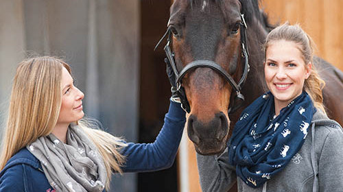 SPRINGSTAR goes Bemer Riders Tour