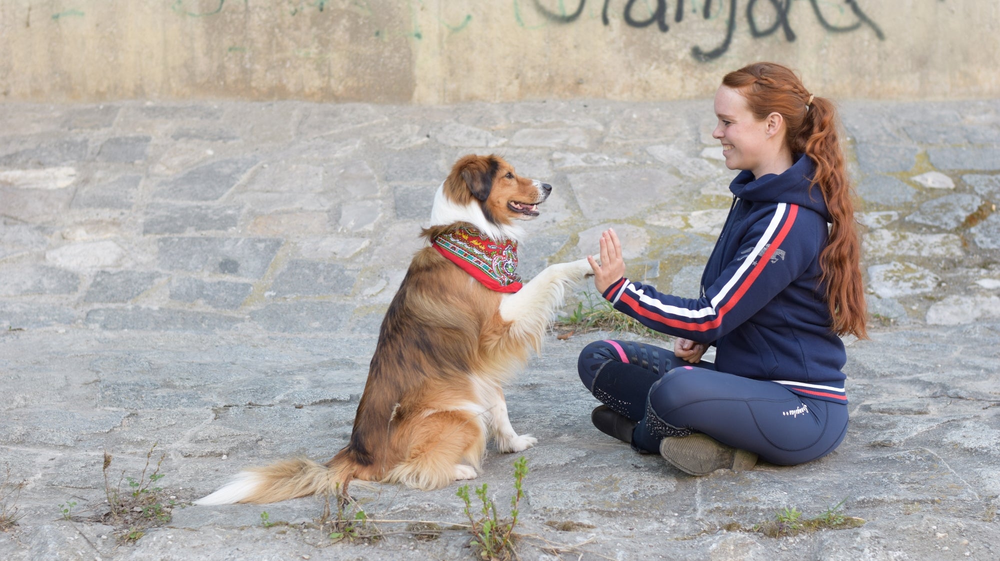 Produkttest Kapuzenhoodie "Malina" Reithoodie Springstar