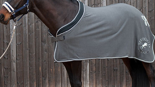 Silvester mit Pferden