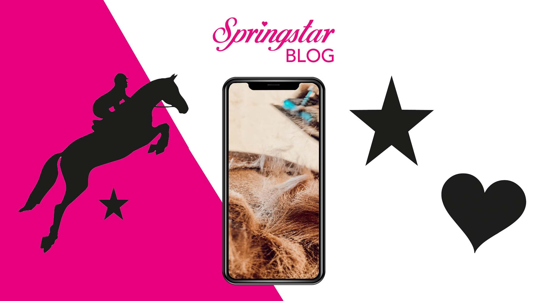 Pferde scheren - nur ein Trend?