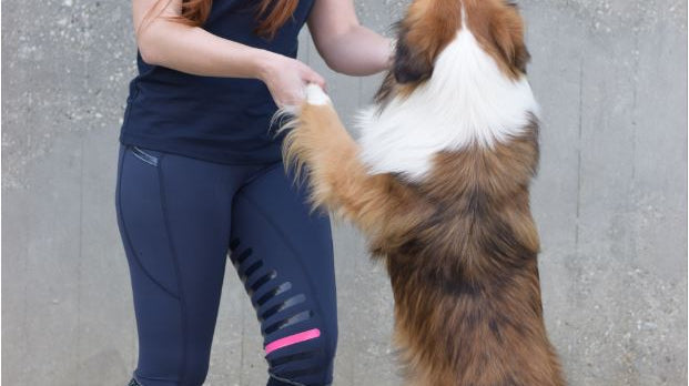 Einlaufen war gestern! Reitstiefelette Anisha