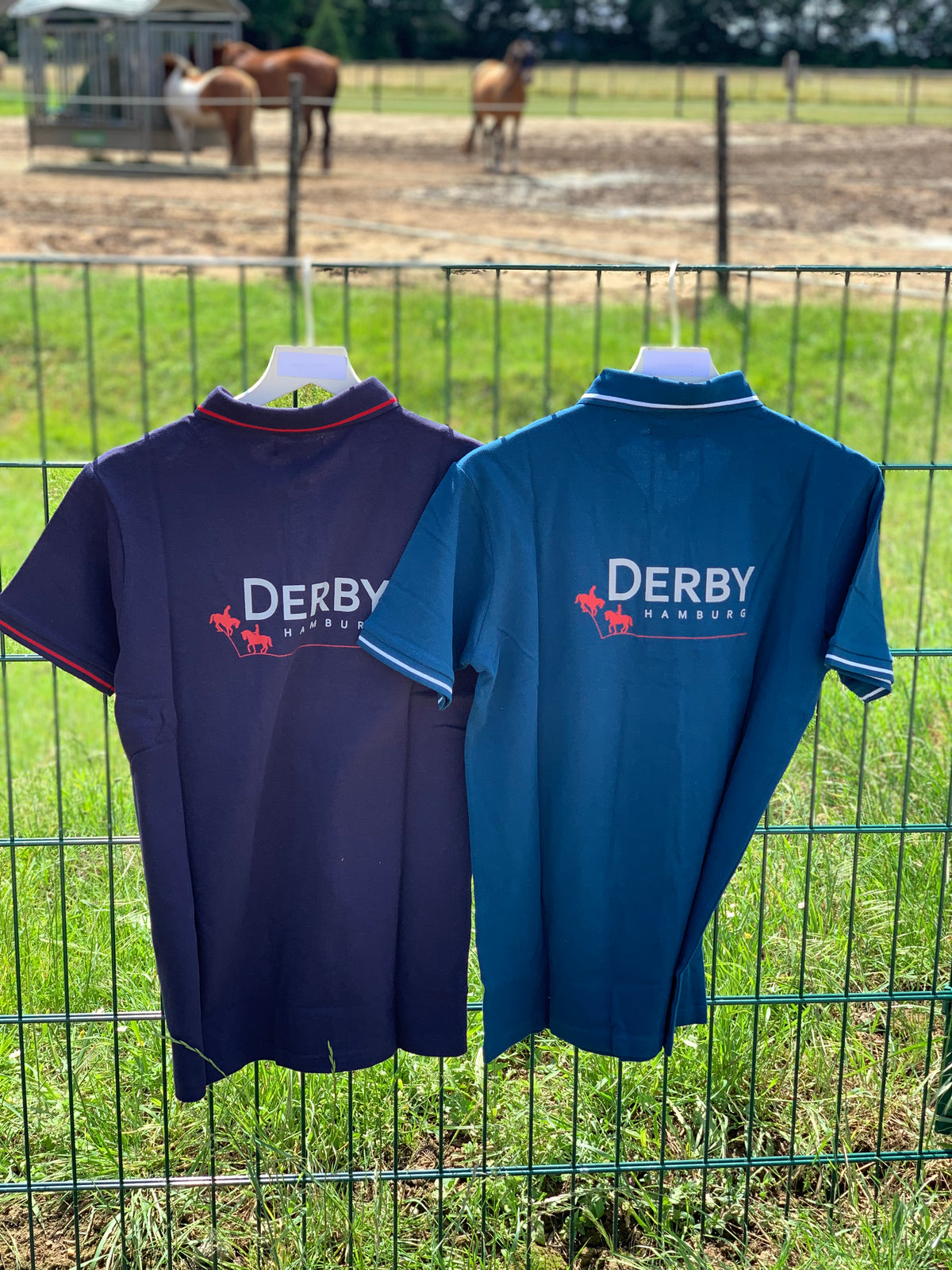 Mystery_Derby_Polo_blau_hinten
