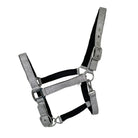 Glitzer Halfter Siri silber