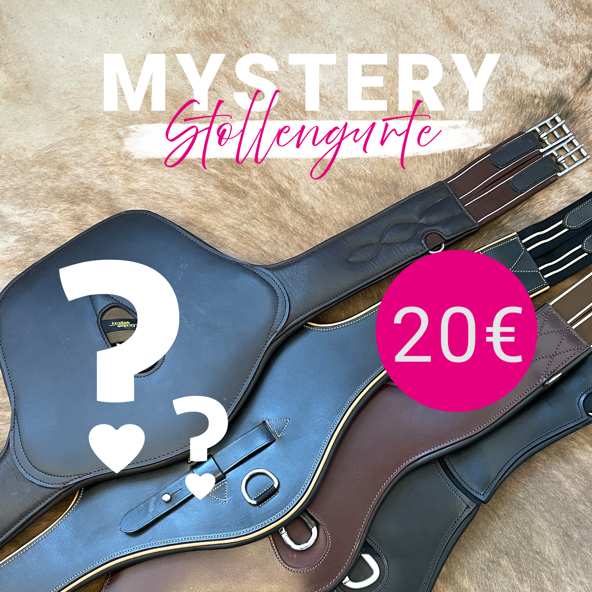 Stollengurt günstig, Springgurt mit Bauchplatte, Mystery Box Pferd, Reitsport Schnäppchen, Springschutz Pferd, Springstar Sale