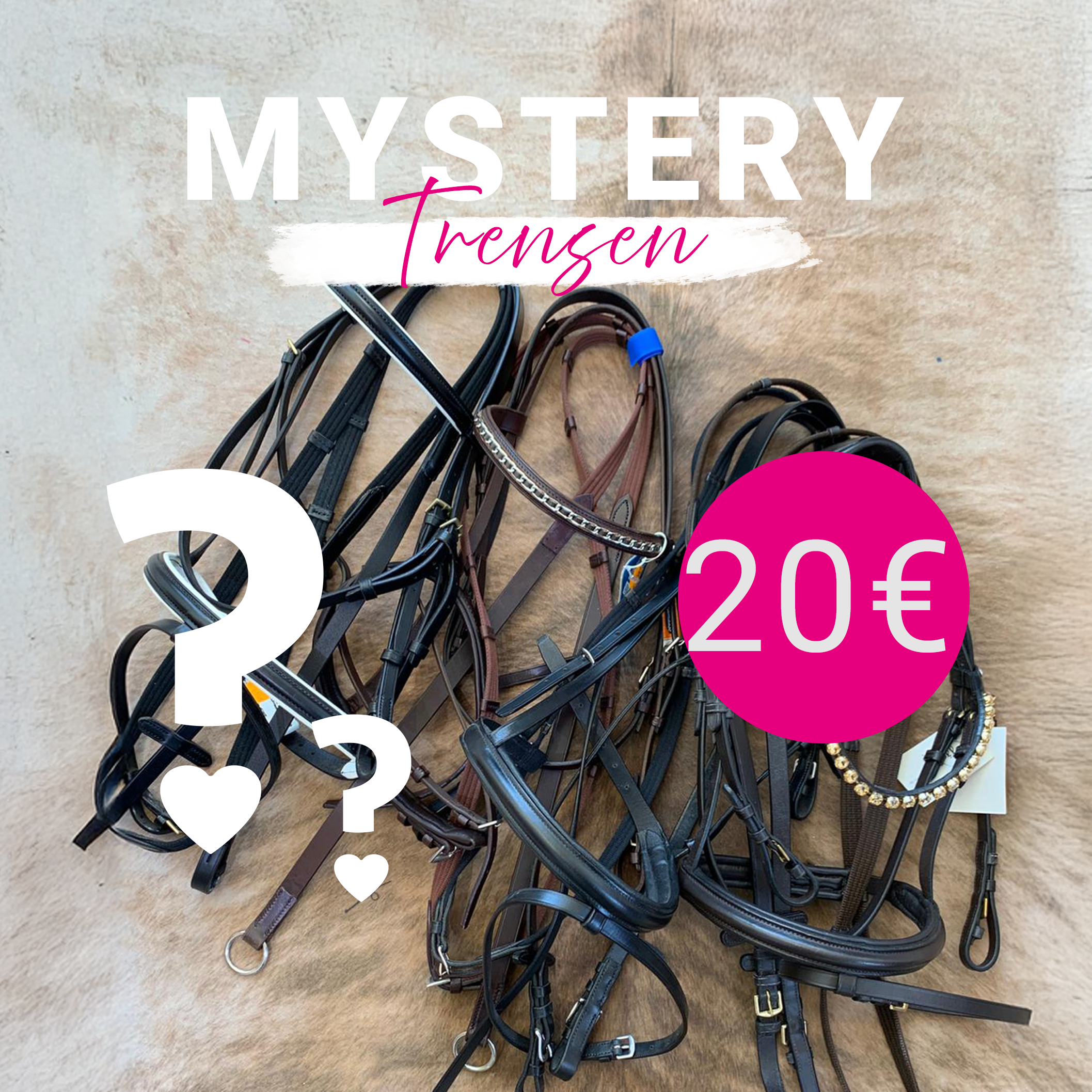 Mystery Trense, Pferdezubehör Überraschung, Trense günstig kaufen, Springstar Deal, Kandare Angebot, Reitsport Schnäppchen.