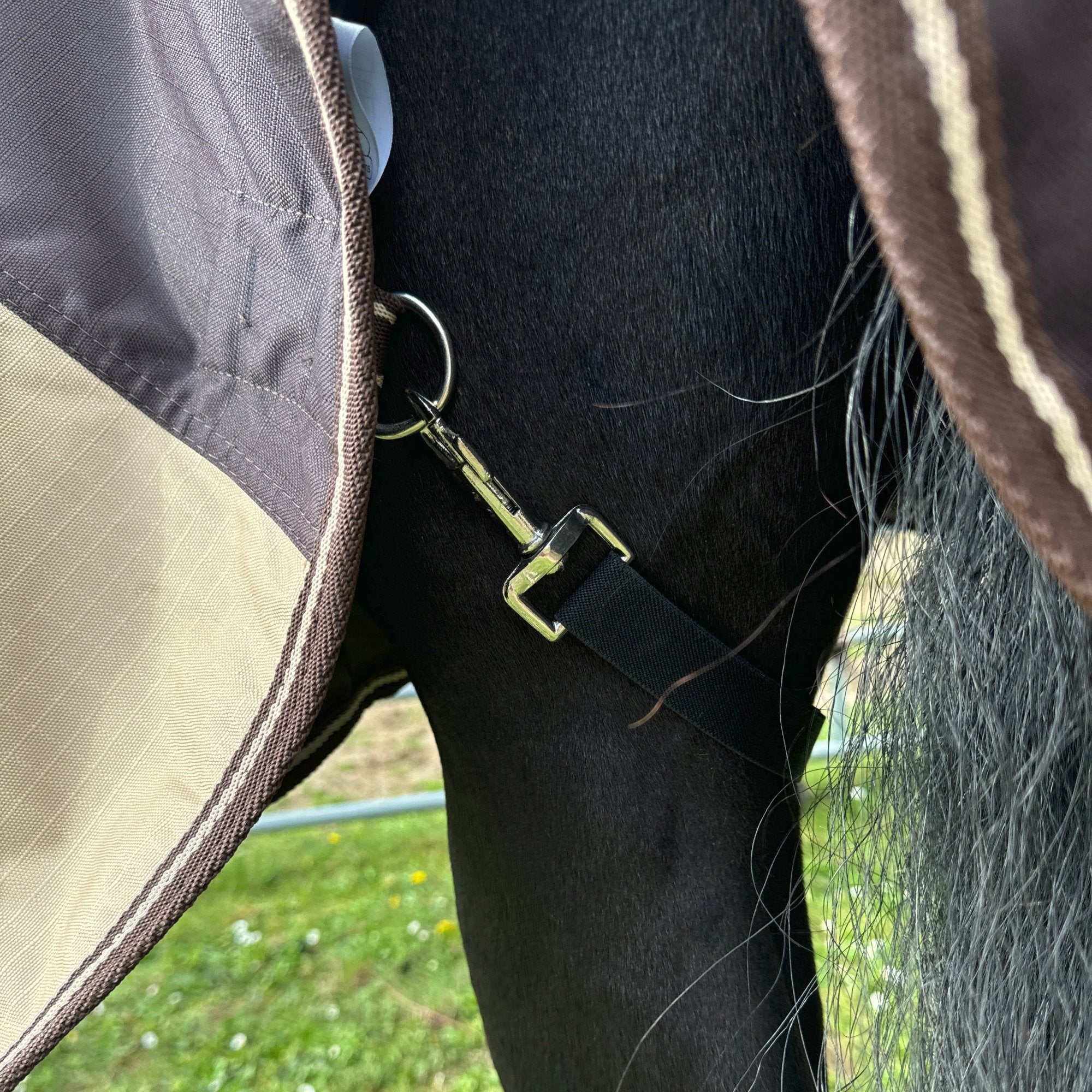 wind und regendecke pferd braun beige  fleece springstar