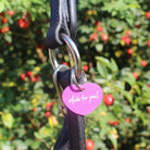 Herz-schlüsselanhänger-marke-halftermarke-halfteranhänger-sattelanhänger-pferdemarke-sps-springstar-madeforyou-pinkesherz-soulhorse-springstar-pferdemarke-schlüsselanhänger