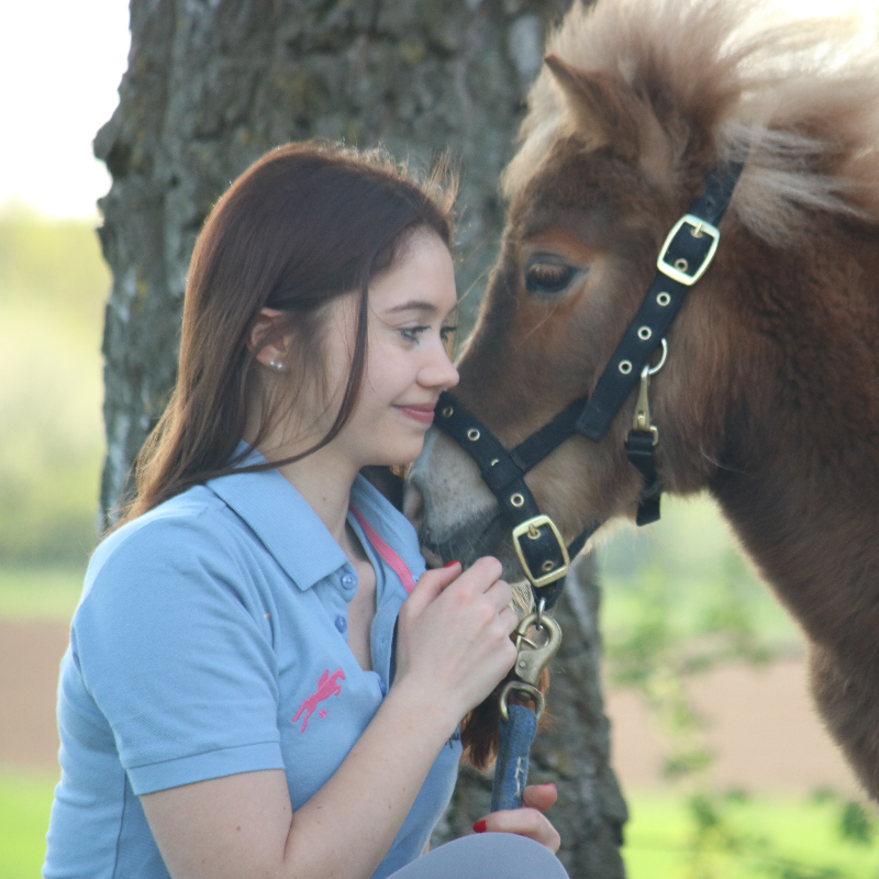 reitshirt, shirt zum reiten, polo, poloshirt, polo sport, reitshirt, reitpolo, reitmode, springstar, east, spooks, pikeur, kentucky, reitmode, pferdesport, polo pferde