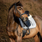 schabracke grau glitzer dressur square sps logo -2020-schabracke-bibi-rosa-schabracke-neu-pferde-pferd-pferdezubehör-fliegenhaube-passend-abgestimmt-spooks-neu-sps-dressur-springen  springstar