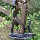 ella-halfter-schwarz-black-springstar-fell-pony-cob-full