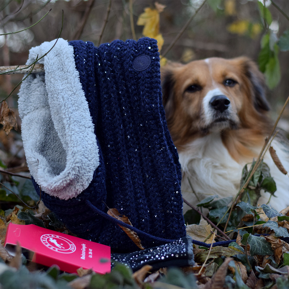 geschenkebox blau glitzer reitsocken springstar loop schal teddyfleece hund wald blätter