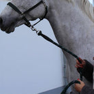 Springstar Set, bunter pferdestrick, lederstrick, lederführstrick, Halfterset, Halfter Set, Halfter und Strick, Strickset, buntes halfterset, pferde, pferdezubehör, pferdehalfter, pferdehalfterset, pferdestrick, führstrick, reitzubehör , baumwoll führstrick