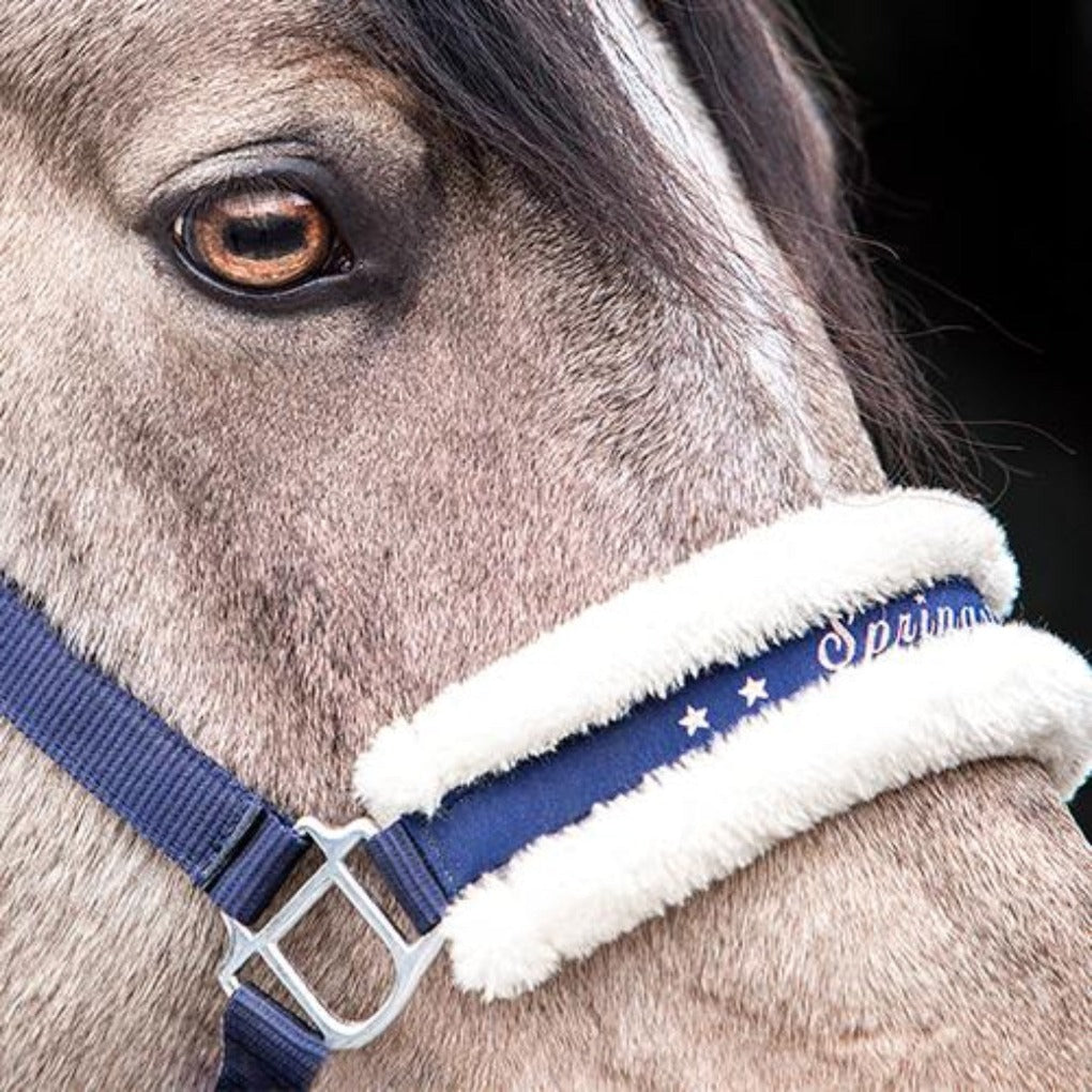 springstar, reitstall, halfter, fellhalfter, halfter mit fell, pikeur halfter, springstar, springstar halfter, pikeur halfter, pferdezubehör, pferd mit fell, halfter fell