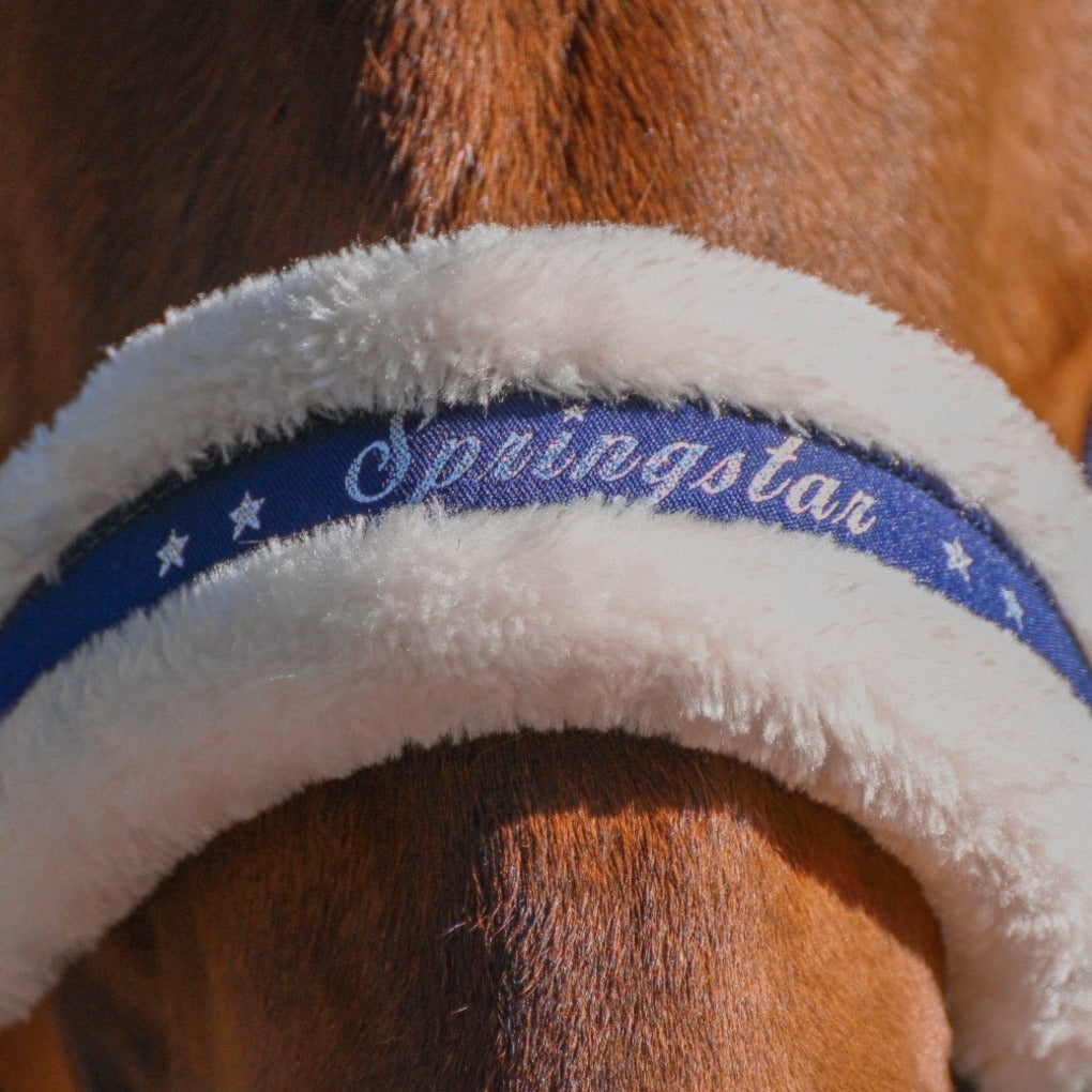 springstar, reitstall, halfter, fellhalfter, halfter mit fell, pikeur halfter, springstar, springstar halfter, pikeur halfter, pferdezubehör, pferd mit fell