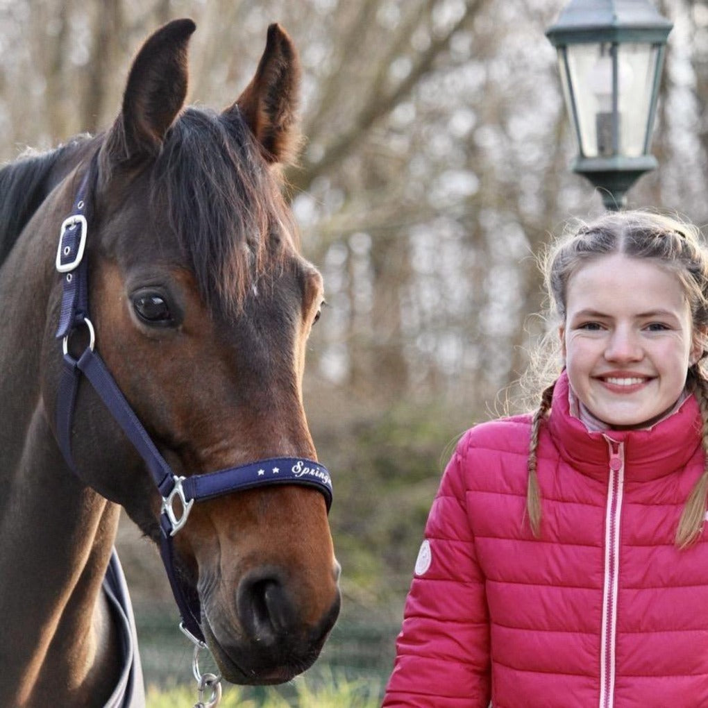 halfter dunkelblau halfter-trixi-blau-springstar-halfter-warmblut-full-cob-pony-schlichteshalfter