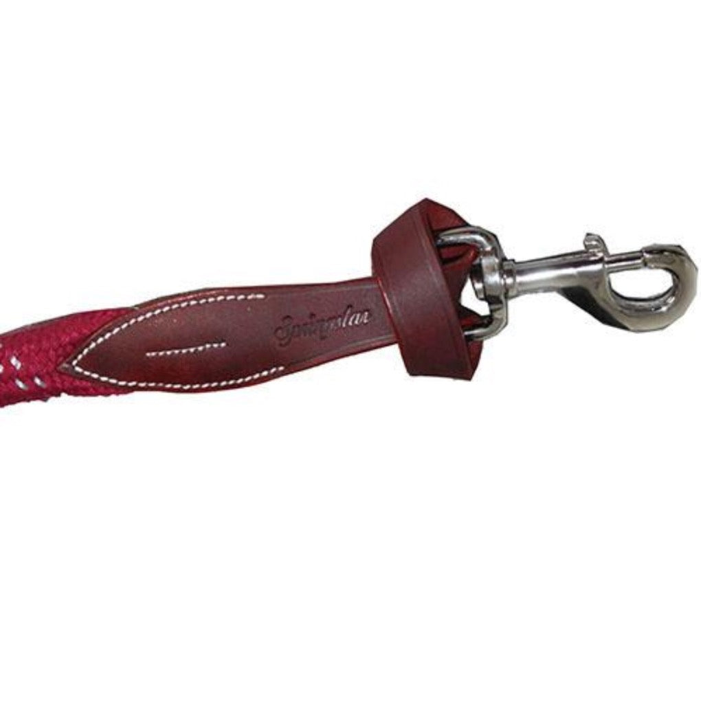 Springstar Set, bunter pferdestrick, lederstrick, lederführstrick, Halfterset, Halfter Set, Halfter und Strick, Strickset, buntes halfterset, pferde, pferdezubehör, pferdehalfter, pferdehalfterset, pferdestrick, führstrick, reitzubehör, baumwoll führstrick