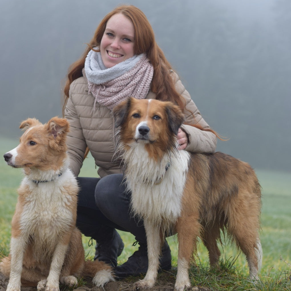 loop schal gefüttert, almara, wintershcal,glitzerschal,fleeceschal,rosaloop, loopmitfleece, fleeceschal, glitzerschal zu binden, Loop schhnüğrbar, warmer schal, Rundschau, rundschal flehe, reitschal, glietzeritschal, loesdau schal spooks schal, Krämer schal, schal Schnäpprechen, rosa loop, pailetten loop