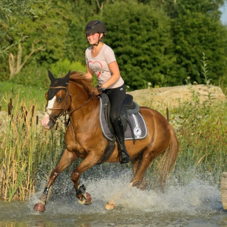 pferde t shirt springstar, reitshirt, tshirt, rosa, pferd, fuchs, fliegenmütze, vielseitigkeit, schabracke, reitleggings, spooks, pikeur, reithelm, reitstiefel, geländetraining, reitshirt, pferdemotiv