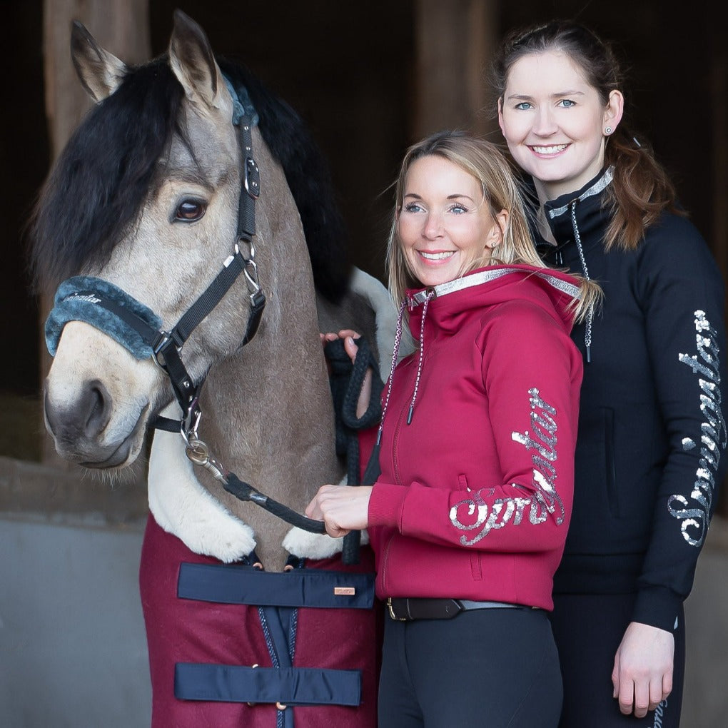 new-colours-hoodie-jasmin-glitzerhoodie,hoodie-jasmin-2.0-grau-pailletten-seite-springstar-reithoodie-sweatshirtjackereiten-glitzerhoodie-spooks-sps-pikeur-equiva