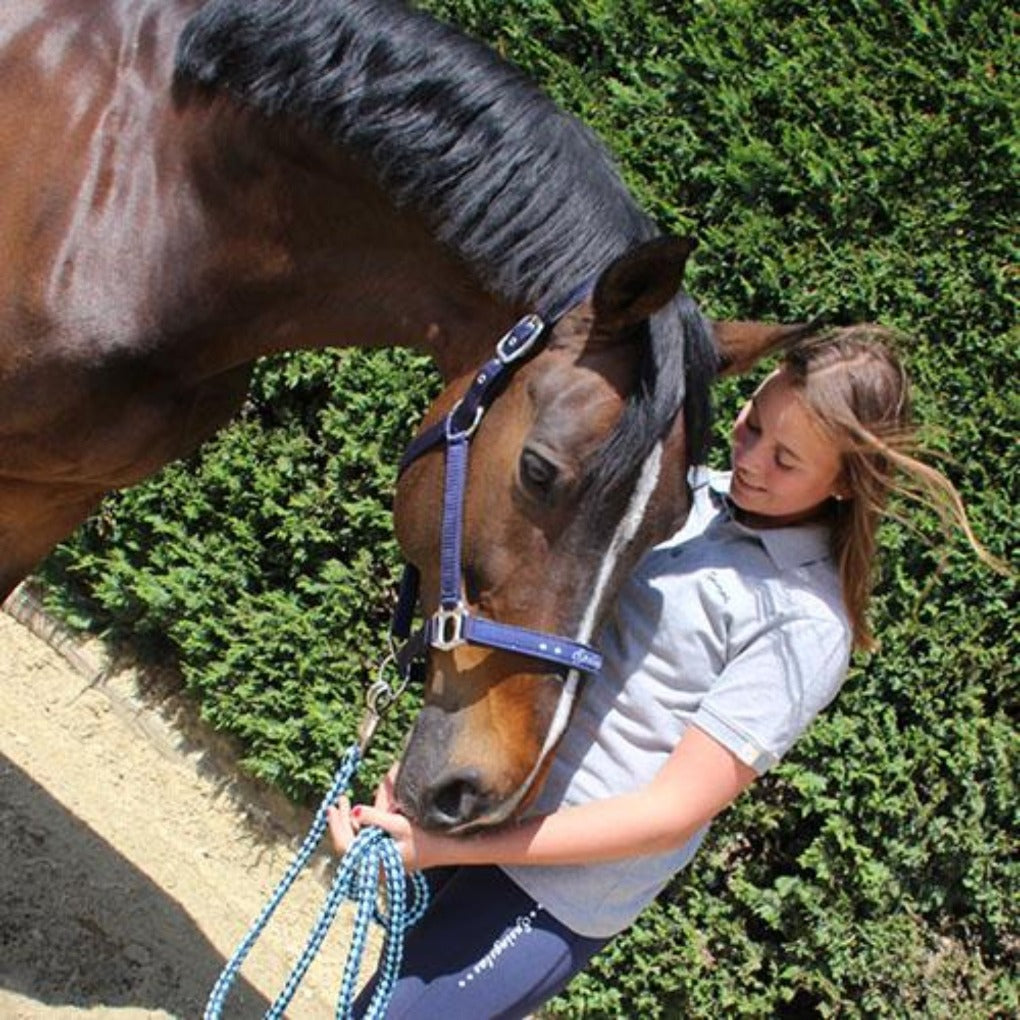 halfter dunkelblau sommerhalfter, halfter sommer, pferdehalfter, halfter,pferd, pferde, pony, ponyhalfter, springstar, blaues halfter, günstiges halfter, halfter blau, stoffhalfter, pikeur, pferdezubehör, springstar, eskadron halfter, halfter pferd, pferdehalfter, shetty halfter, pony halfter, warmblut halfter, vollblut halfter, krämer halfter, halfter pony, weidehalfter, nylonhalfter