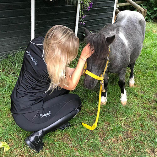 reitbekleidung, reitaccessoires, reitbedarf, schbarcke, reithose, reitlegging, reitshirt, reitjacke, reitsocken