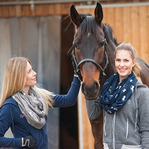 SPRINGSTAR goes Bemer Riders Tour