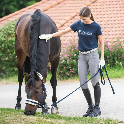 springstar-beginn-der-weidesaison