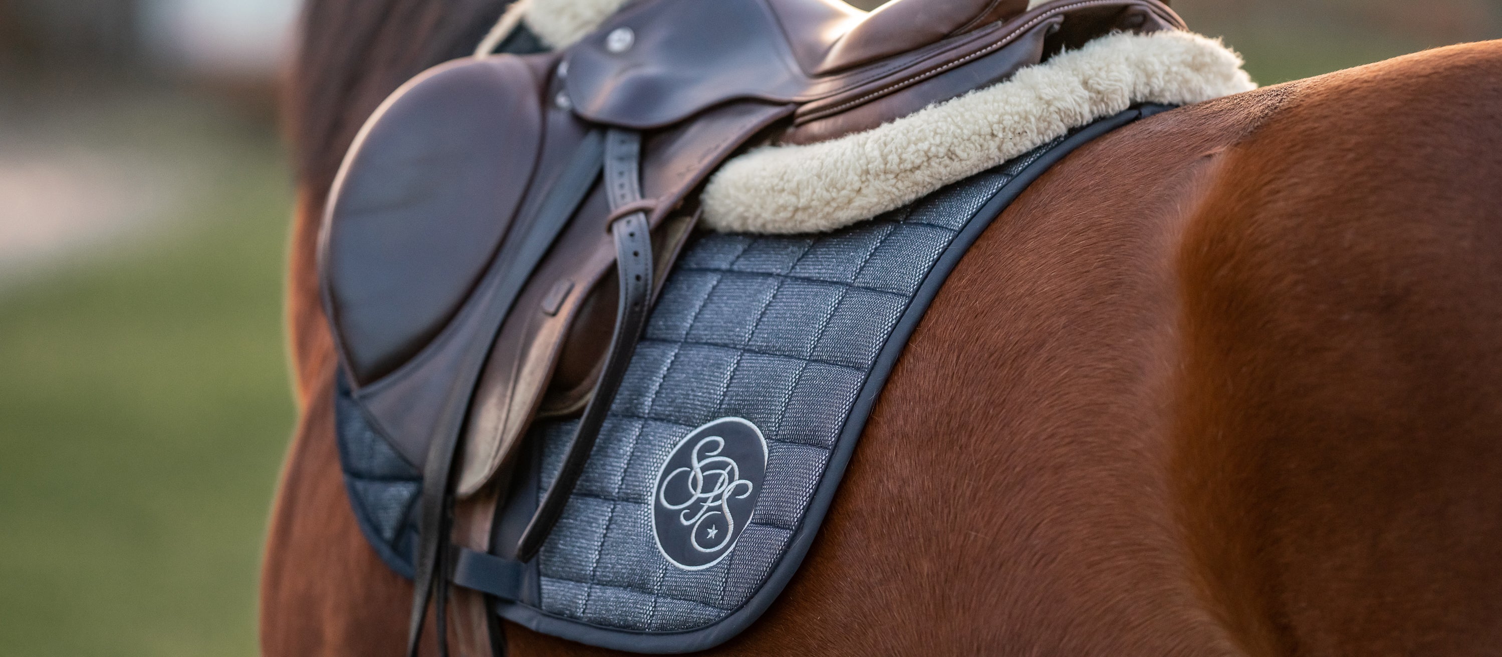 Schabracken und Satteldecken, Glitzer, eskadron, cavallo, Felix Bühler, reduzierte Schabracken