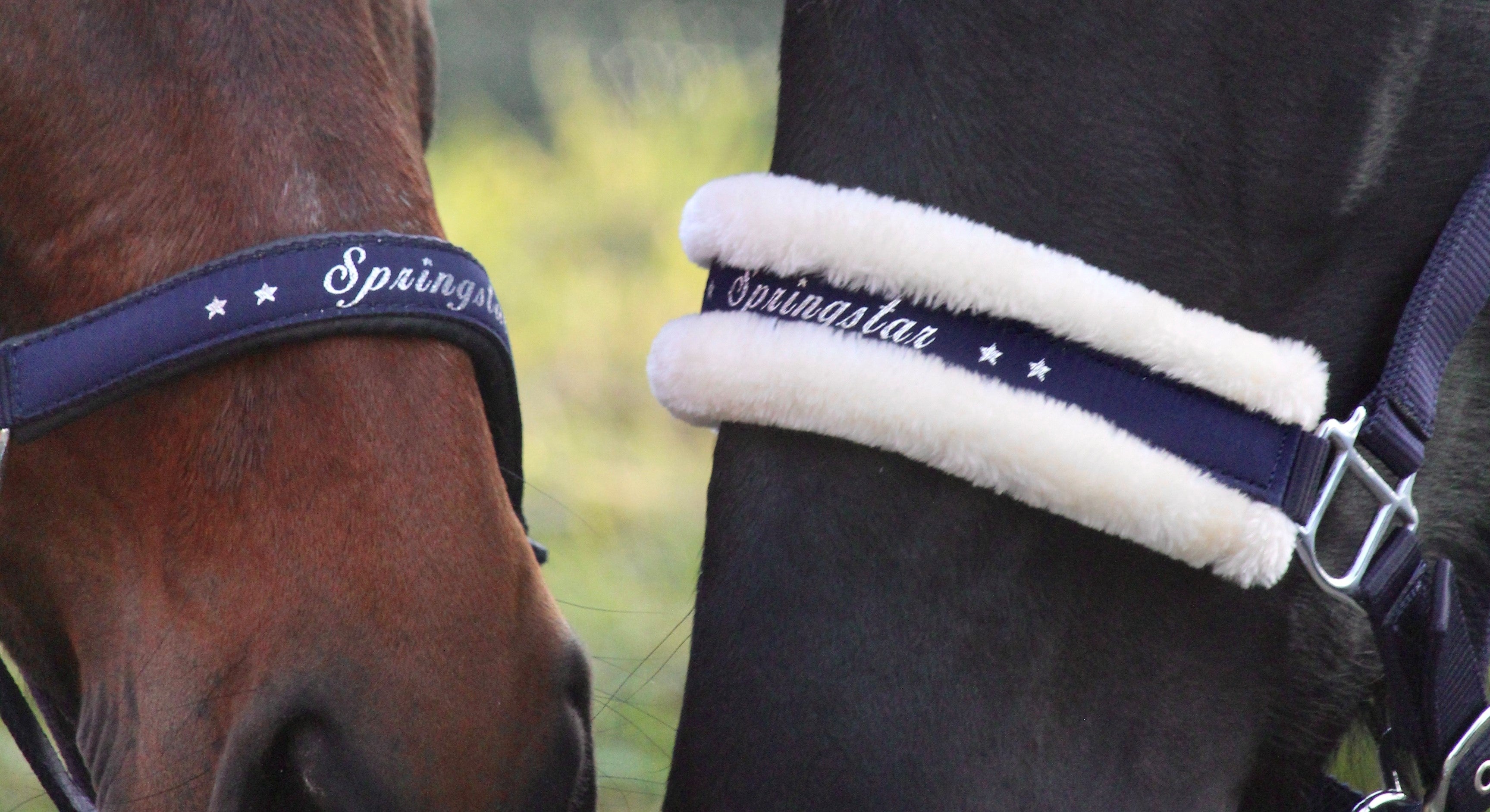 Halfter und Stricke für Pferde und Ponys, Lederhalfter und Fellhalfter