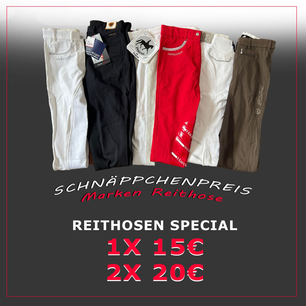 SPRINGSTAR Reitbekleidung - Reithosen uvm. – Springstar 2048
