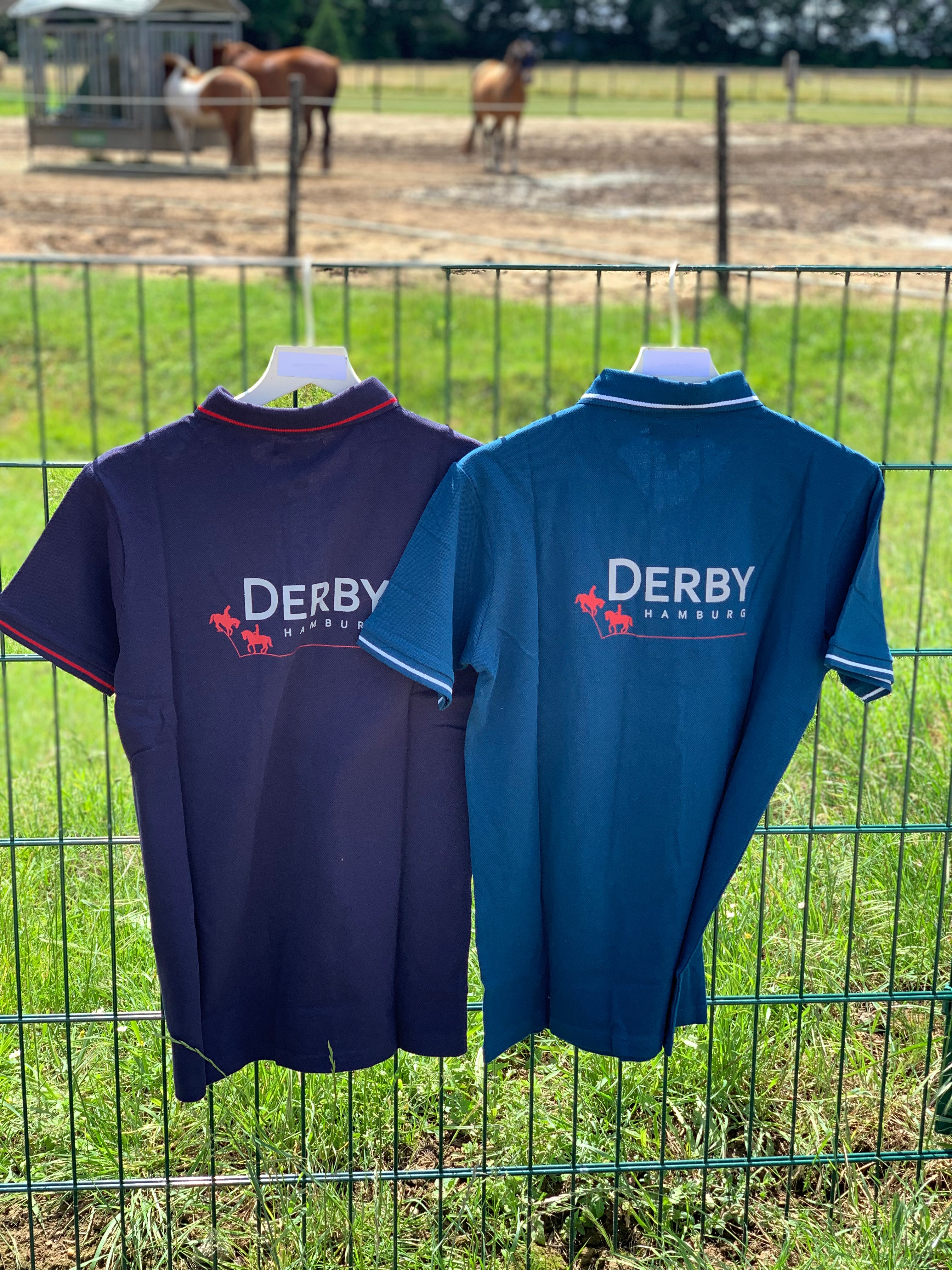 Mystery_Derby_Polo_blau_hinten