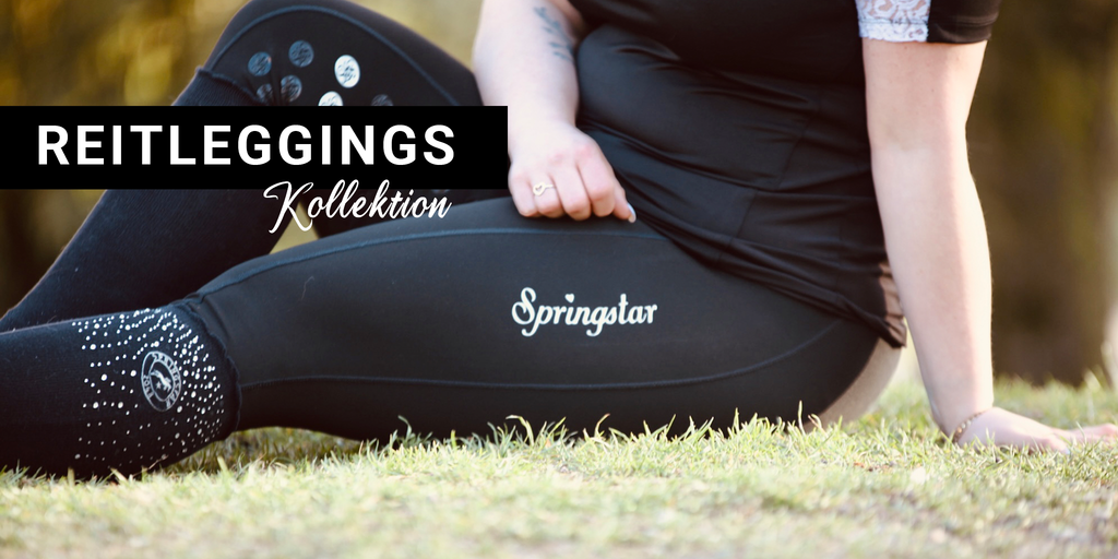 SPRINGSTAR Reitbekleidung - Reithosen uvm. – Springstar 2048