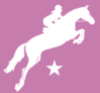 Logo von SPRINGSTAR 2048