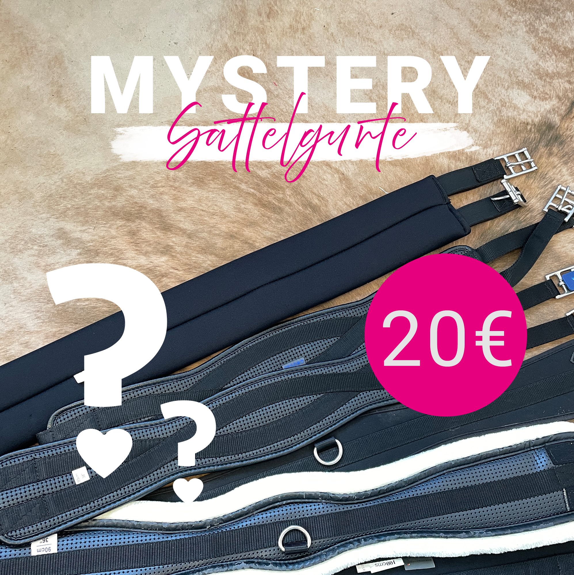 Sattelgurt günstig, Mystery Box Reitsport, Dressurgurt Angebot, Springgurt Sale, Reitsport Überraschungspaket