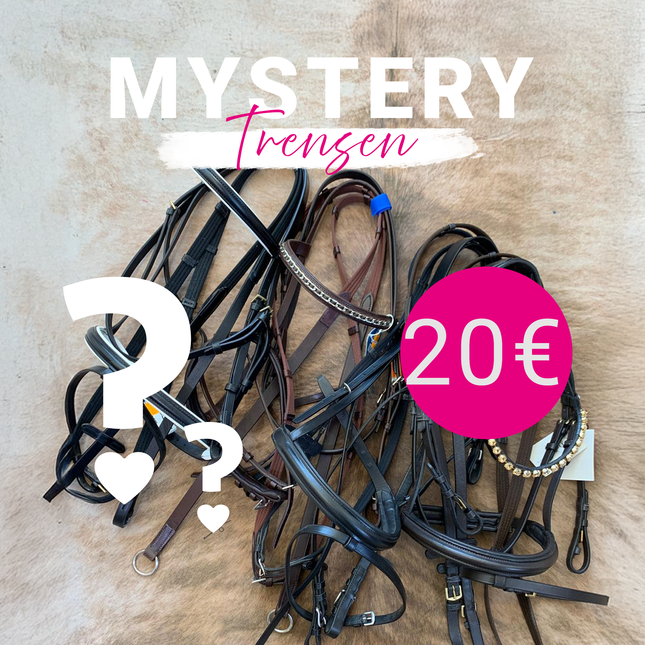 Mystery Trense, Pferdezubehör Überraschung, Trense günstig kaufen, Springstar Deal, Kandare Angebot, Reitsport Schnäppchen.
