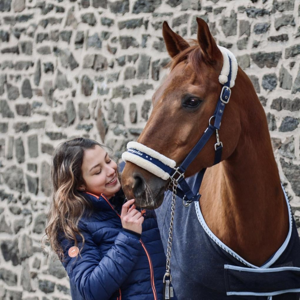 halfter fell ella teddyfell kunstfell faux fur blaues halfter full pferd pferdezubehör springstar genickschoner nasenschoner 