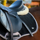Loesdau Kentucky Spooks Springstar Springstar2048 Reitsport Felix Bühler Schabracke Samt Schwarz edel elisa bronze bronzefarbend DR Dressur